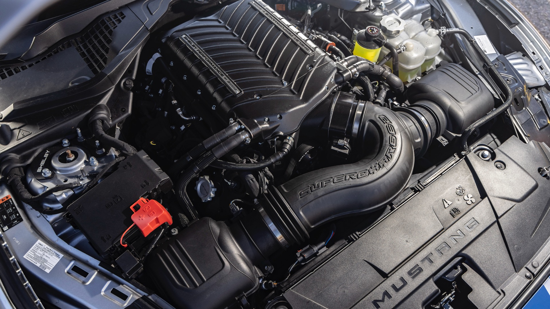 2026 Shelby Super Snake engine.